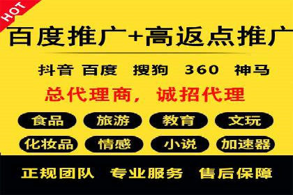 百度竞价广告案例分析：成功之道揭秘